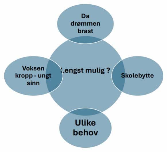 Fig. nr. 8: Utfordringer fra 15 – til 16 år 