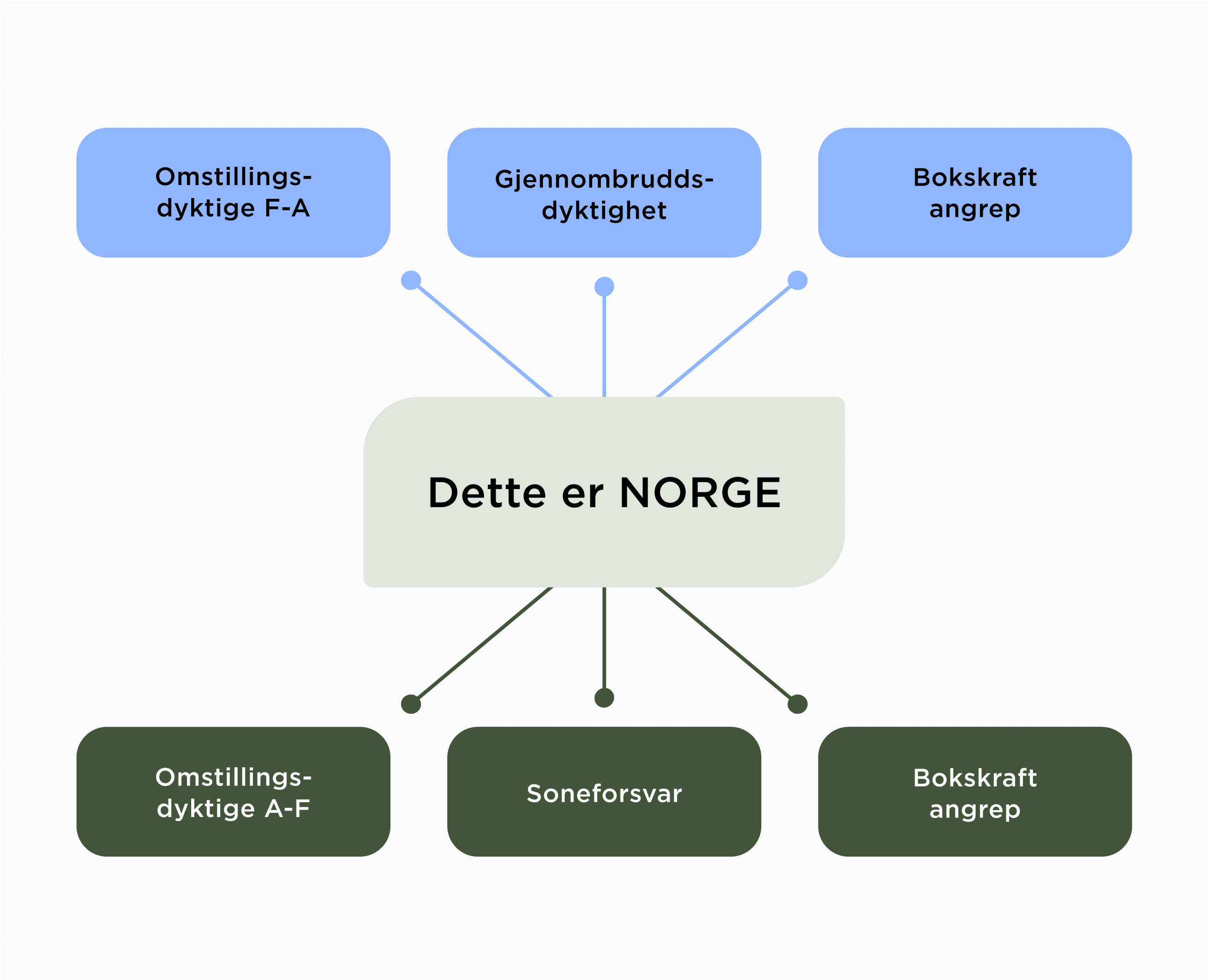 Dette skal kjennetegne norske landslag