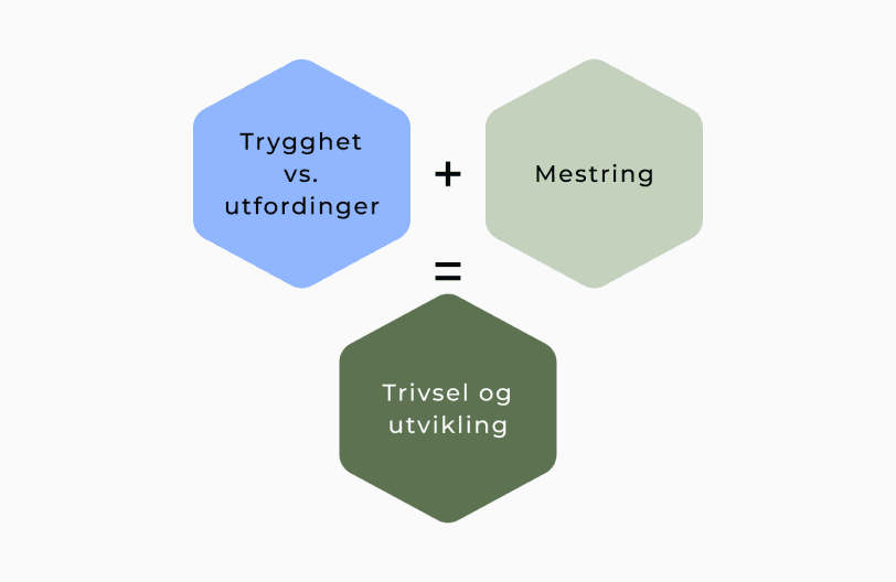 Barne og ungdomsformelen