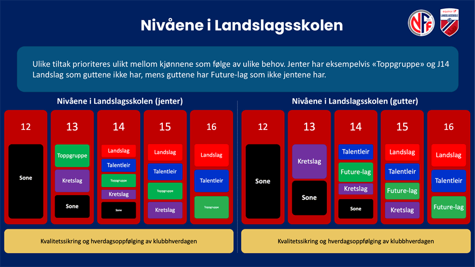 Nivåene i Landslagsskolen